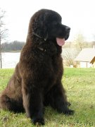 Превью фото № 138118