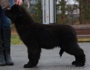 Превью фото № 138139