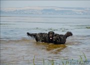 Превью фото № 138144