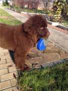 Превью фото № 138251