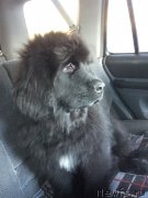 Превью фото № 138326