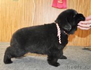 Превью фото № 138377