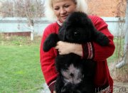 Превью фото № 138402