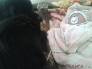 Превью фото № 138520