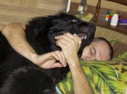 Превью фото № 138565