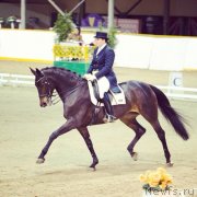 Превью фото № 138586