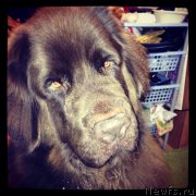 Превью фото № 138593