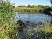 Превью фото № 138728