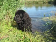 Превью фото № 138729