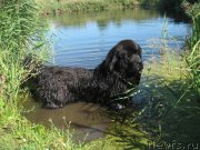 Превью фото № 138730