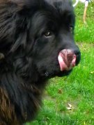 Превью фото № 138735