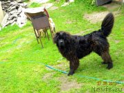 Превью фото № 138736