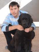 Превью фото № 138751