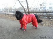 Превью фото № 138770