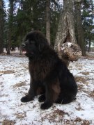 Превью фото № 138802