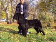 Превью фото № 138852