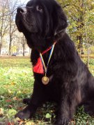 Превью фото № 138864