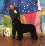 Превью фото № 138933