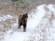 Превью фото № 138935