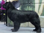 Превью фото № 138942