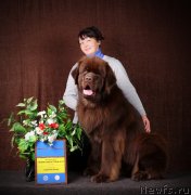 Превью фото № 138945