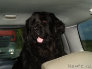 Превью фото № 138947