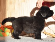 Превью фото № 139003