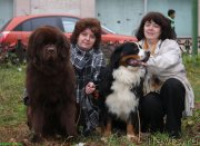 Превью фото № 139038