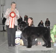 Превью фото № 139046