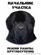 Превью фото № 139073