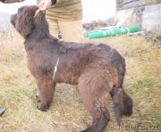 Превью фото № 139076