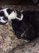 Превью фото № 139155