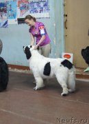 Превью фото № 139157