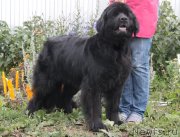 Превью фото № 139169