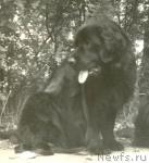 Превью фото № 1392