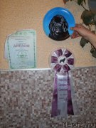 Превью фото № 139221