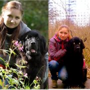 Превью фото № 139225