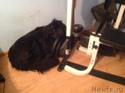 Превью фото № 139236