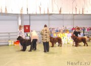 Превью фото № 139338