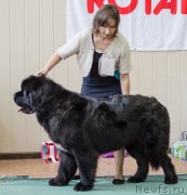 Превью фото № 139396