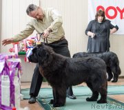 Превью фото № 139397