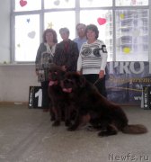 Превью фото № 139441