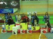 Превью фото № 139456