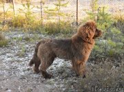 Превью фото № 139475