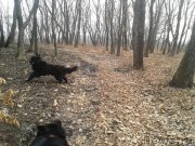 Превью фото № 139476