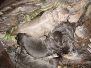 Превью фото № 139509