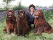 Превью фото № 139511