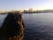 Превью фото № 139531