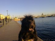 Превью фото № 139533