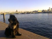 Превью фото № 139534